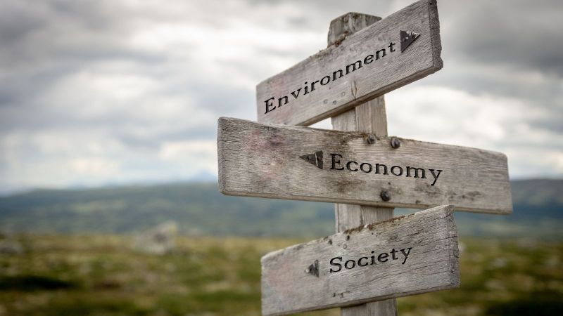 Hölzerner Wegweiser in der Natur mit den Aufschriften „Environment“, „Economy“ und „Society“. Die drei Schilder weisen in unterschiedliche Richtungen.
